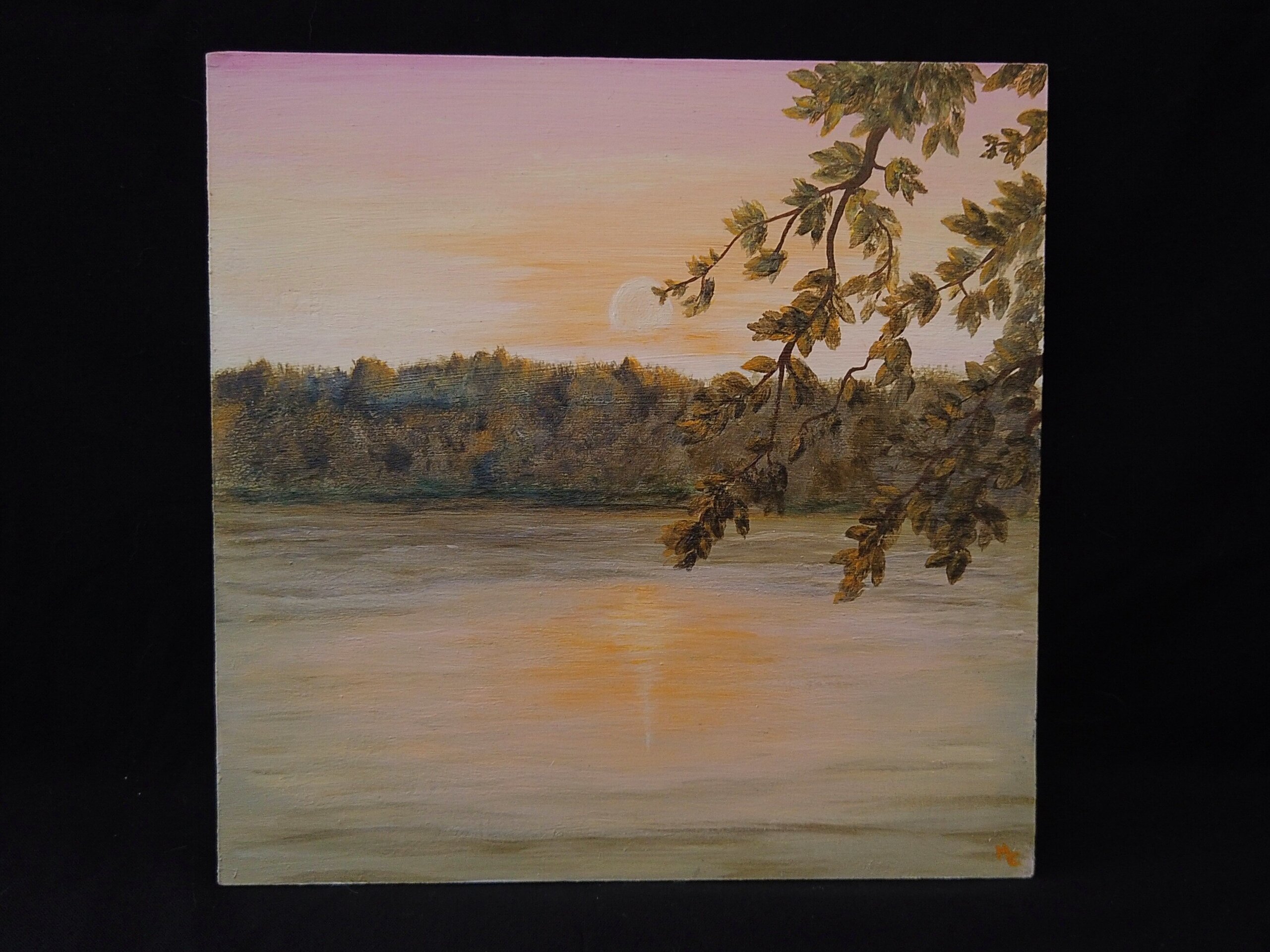 Refugio Rosado "El Encanto" - 7