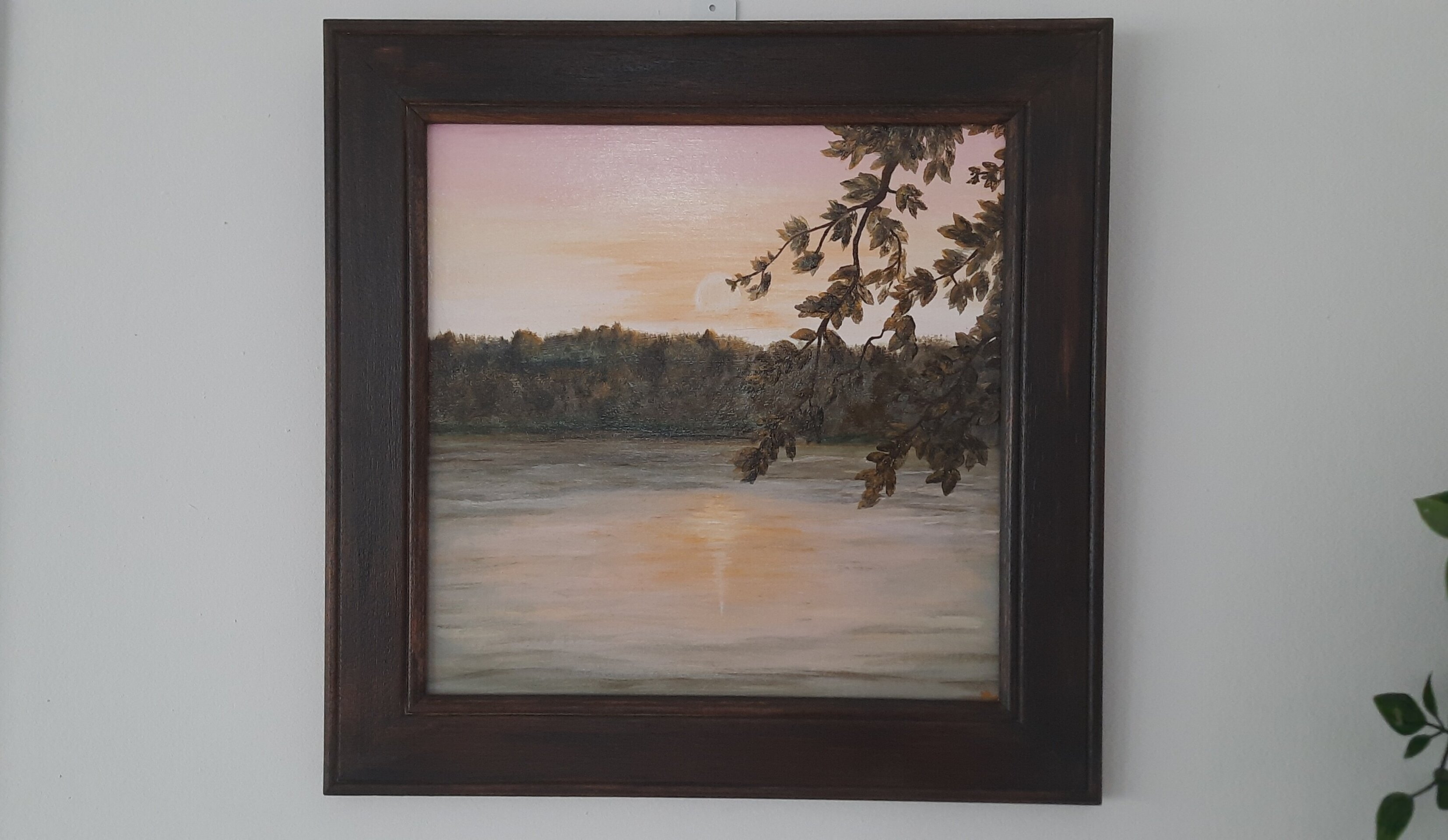 Refugio Rosado "El Encanto" - 5