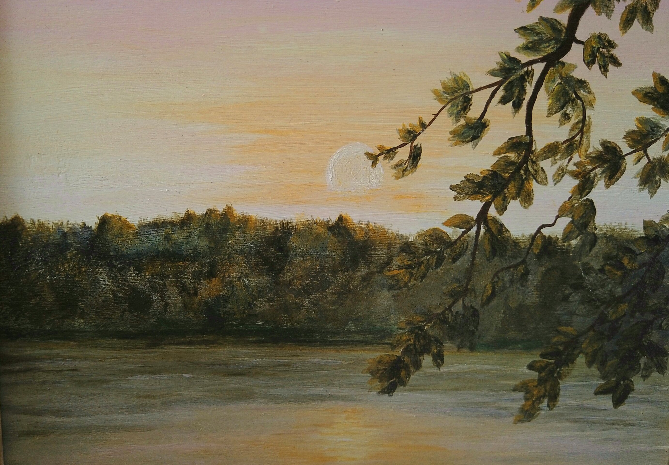 Refugio Rosado "El Encanto" - 6