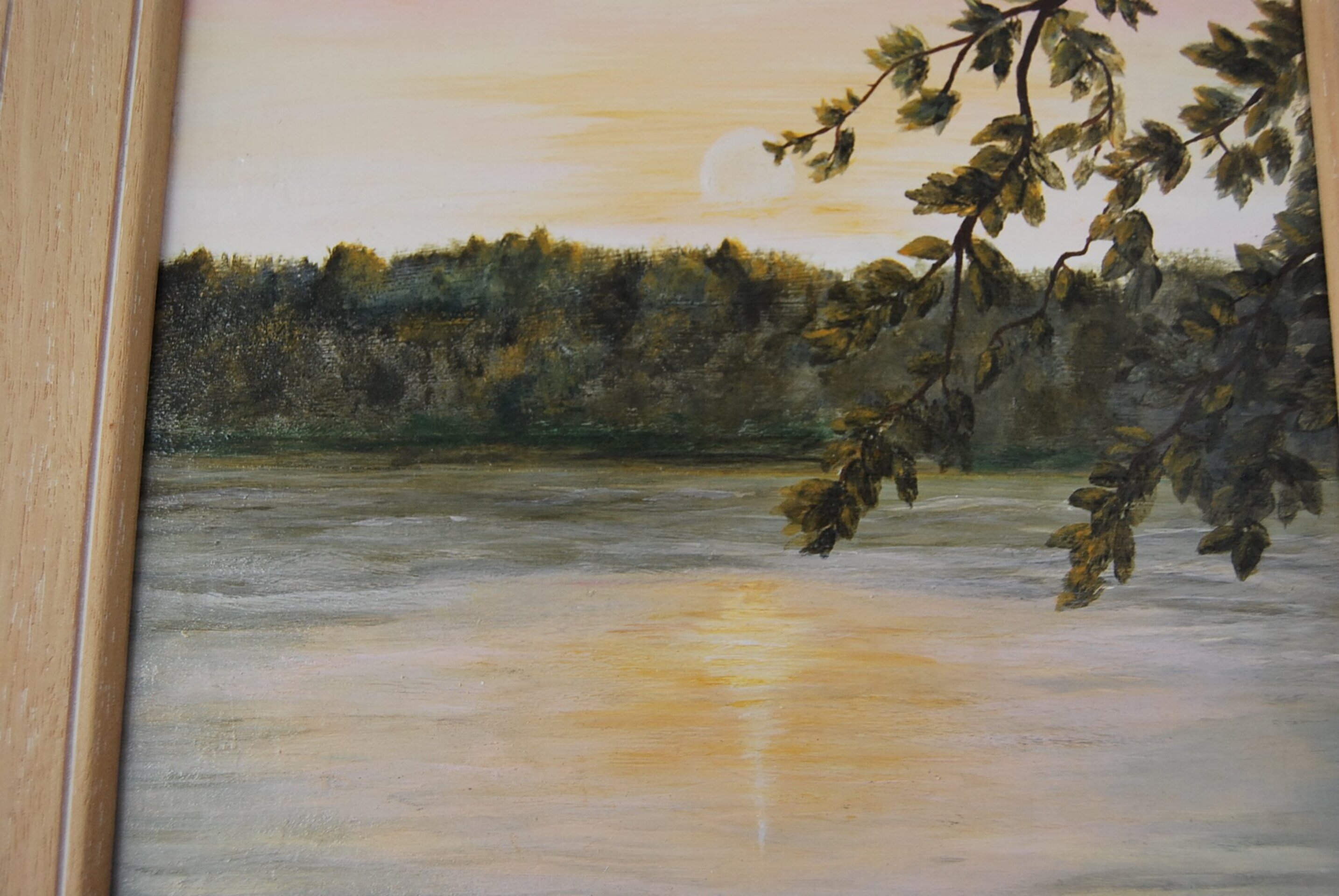 Refugio Rosado "El Encanto" - 4